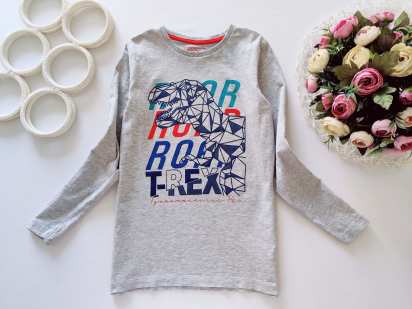 9 років, зріст 134 Лонгслів з 3D динозавром