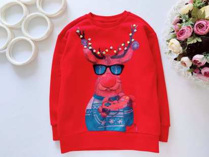 6 років, зріст 116 Музичний світшот з начосом