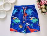 3,4 роки, зріст 98,104 Красиві шорти для хлопчика - зображення 1