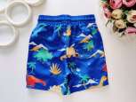 3,4 роки, зріст 98,104 Красиві шорти для хлопчика - зображення 3