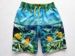 4\5 років, зріст 110 Шорти для хлопчика - зображення 1