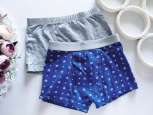 5,6 років, зріст 110,116 Труси боксери - зображення 1