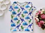 5,6 років, зріст 116 Футболка у динозаврах - зображення 1
